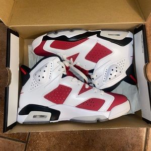 Air Jordan carmine 6 2021